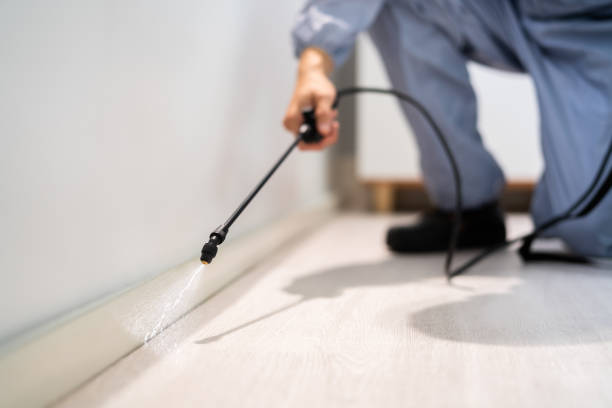 Licensed Pest Control service in Hancock, MI - Show Me Pest Control